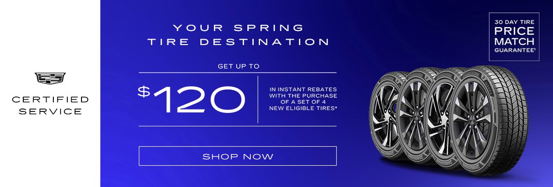 Magnetis - Monthly offers