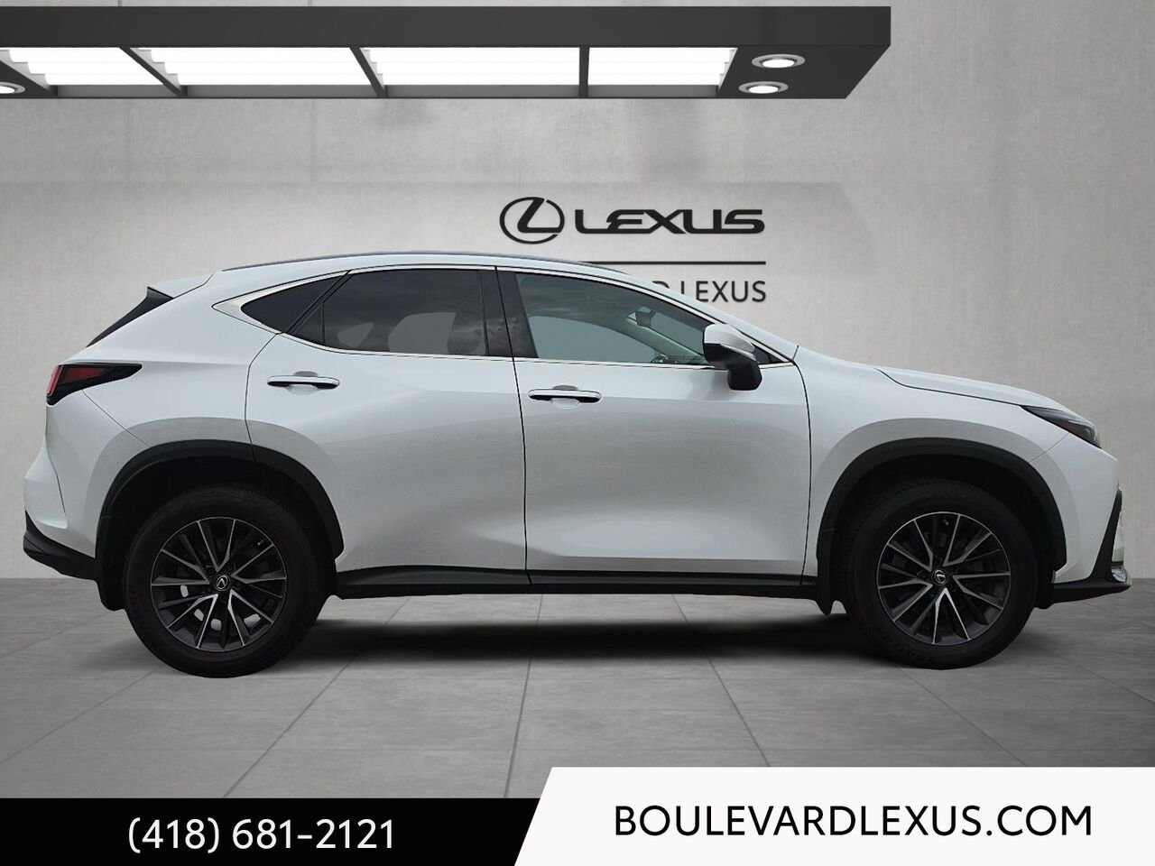 2022 Lexus NX White Quebec - photo #2
