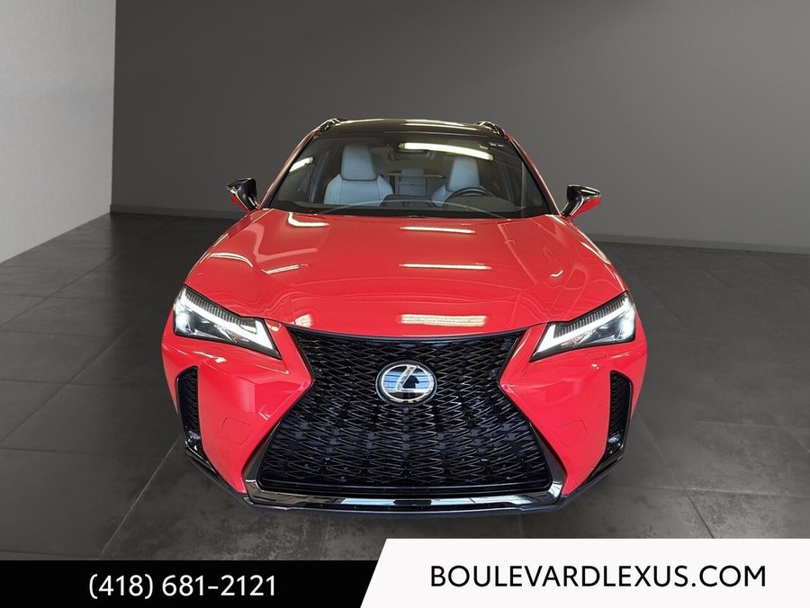 Lexus UX 2025 2025 Rouge