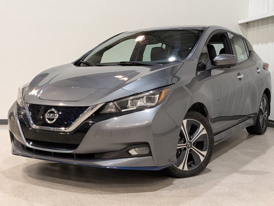 Nissan LEAF SL PLUS Hatchback 2020 Gris