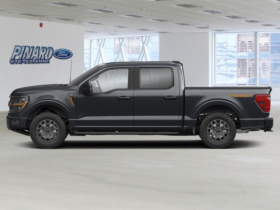 Ford F-150 2026 2026 Noir agate métallisé