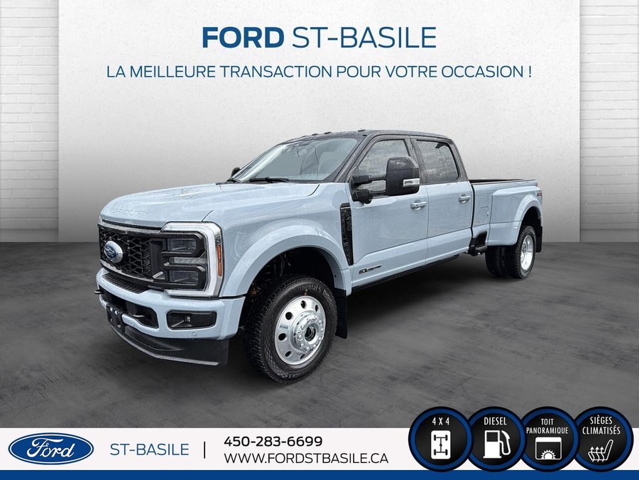 2025 Ford Super Duty F-450 DRW 2025 Grey