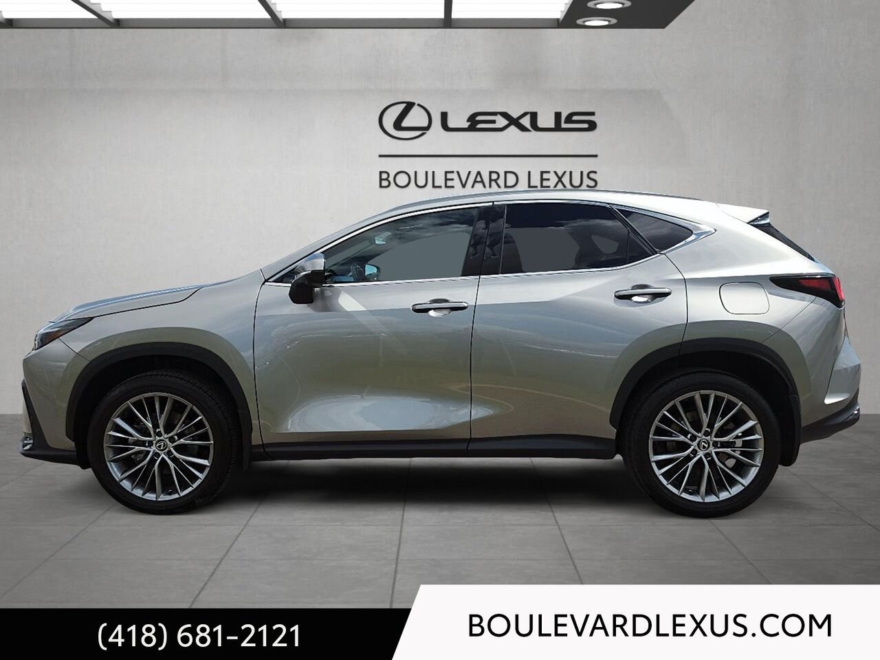 Lexus NX 19896A | NX 350h TI 2024 Argent Québec - photo #5