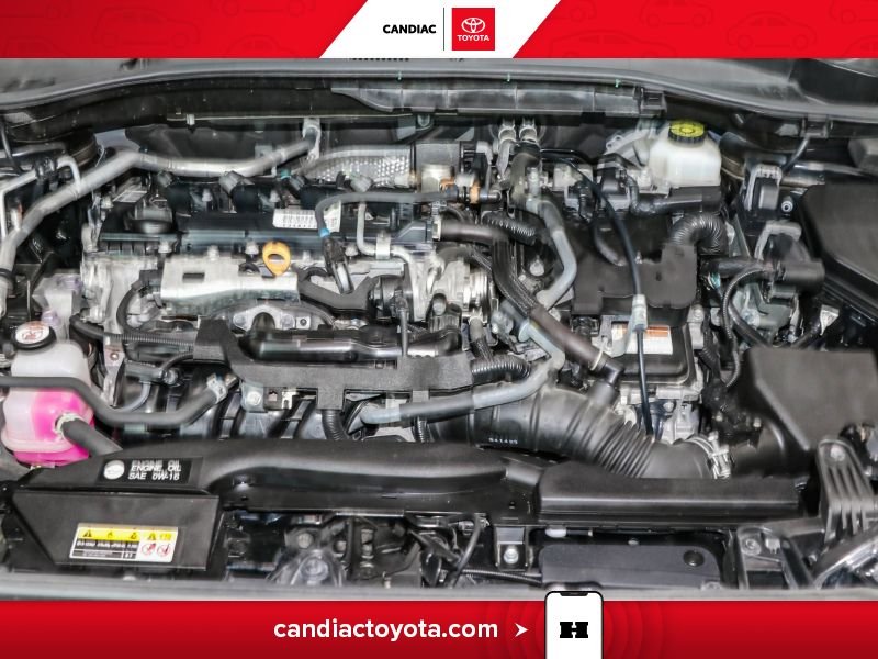 2023 Toyota Corolla Black Laval - photo #35
