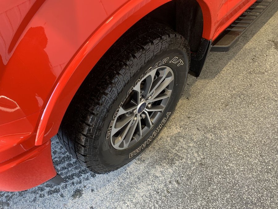 Ford F-150 2019 2019 Rouge