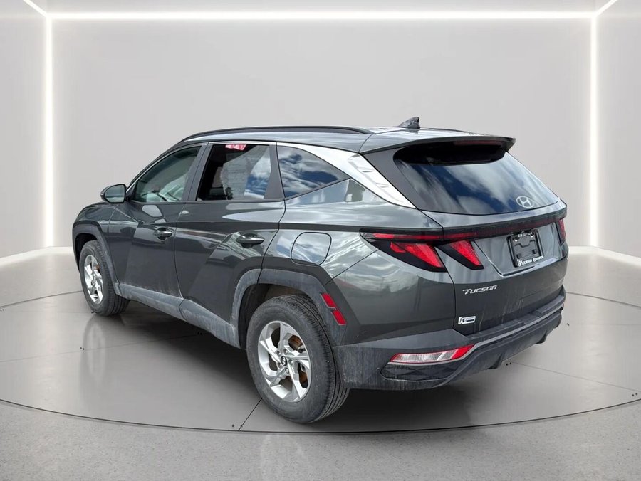 2024 Hyundai Tucson 2024 Grey