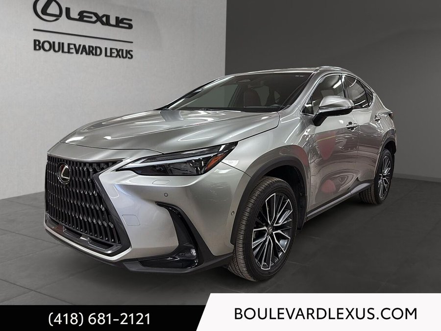 Lexus NX 2022 2022 Argent