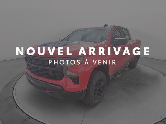 2022 Chevrolet Silverado 1500 2022 Red