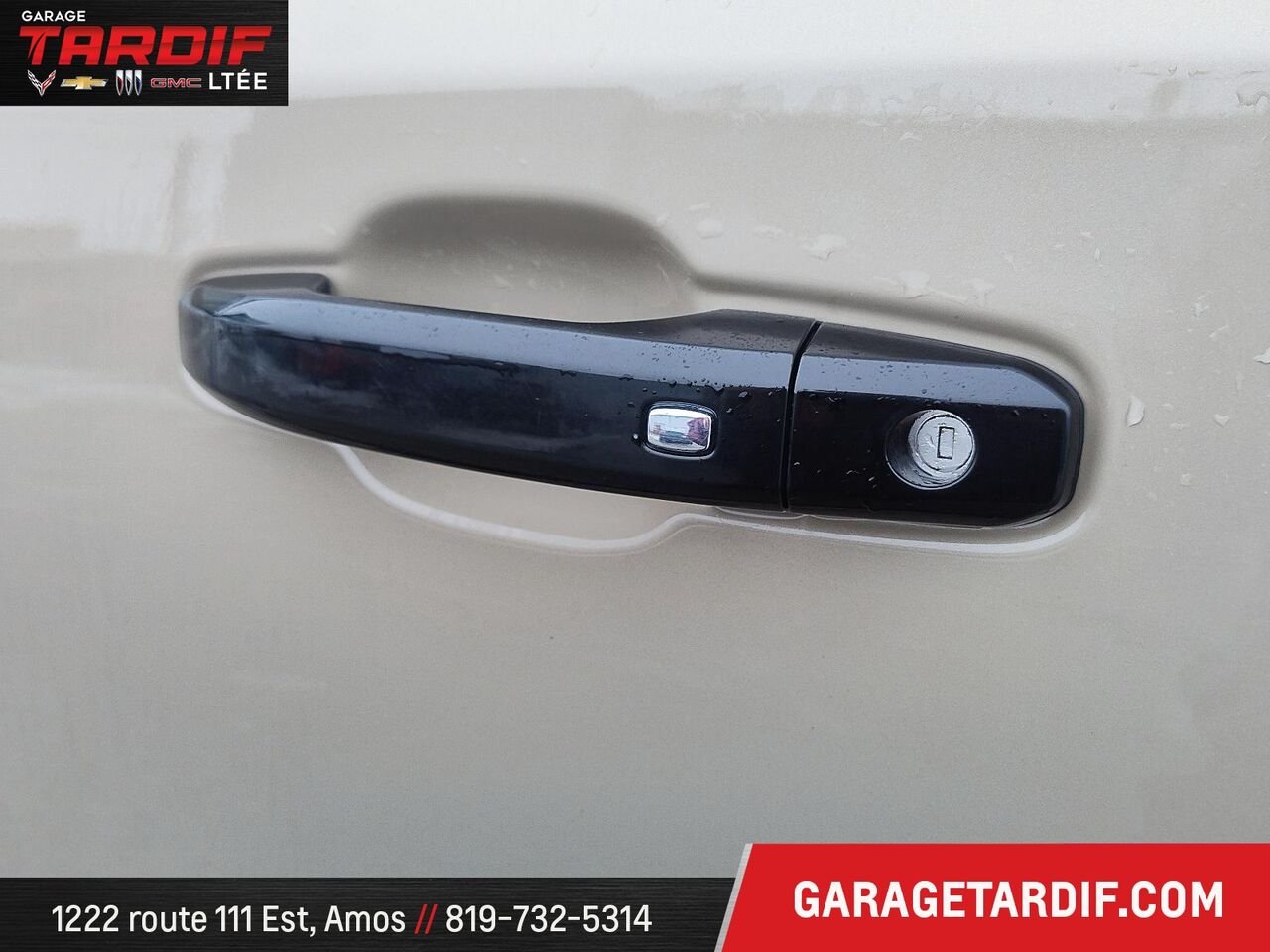 2022 Chevrolet Silverado 1500 Beige Amos - photo #13