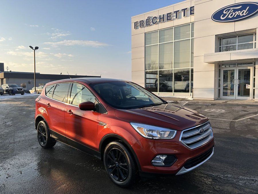 Ford ESCAPE 2019 2019 Rouge
