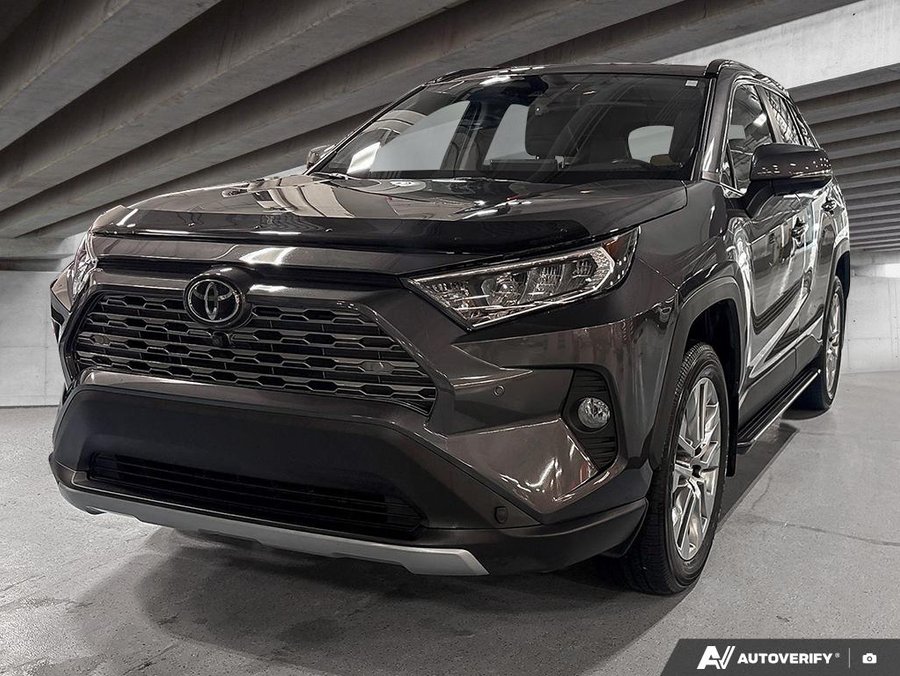 2019 Toyota RAV4 2019 gray