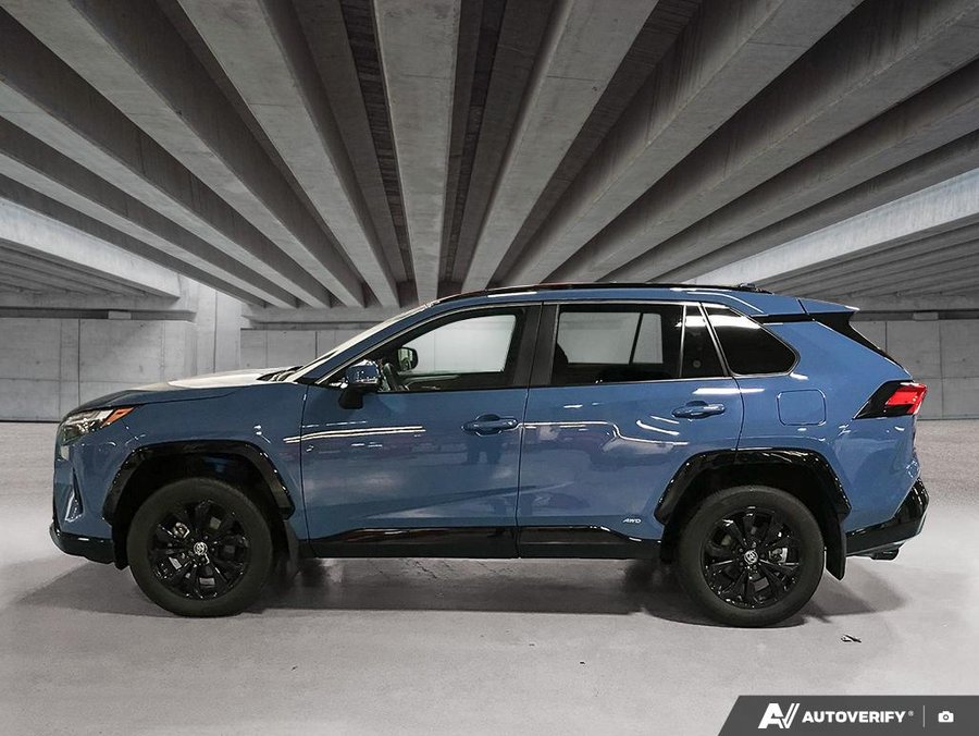 2024 Toyota RAV4 2024 Blue