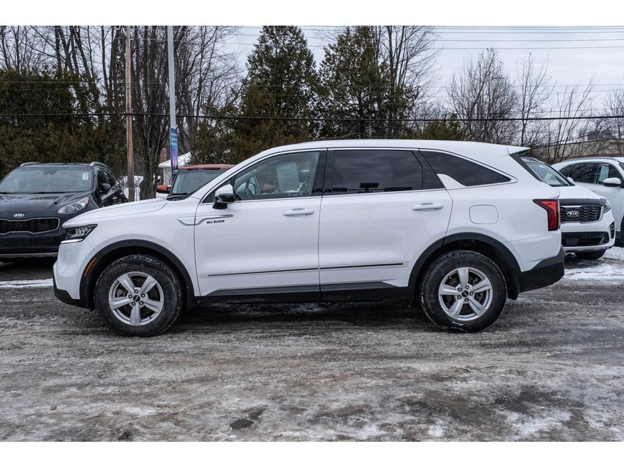 2023 Kia Sorento 2023 White