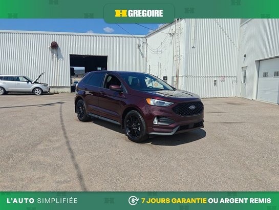 Ford EDGE 2024 2024 Rouge