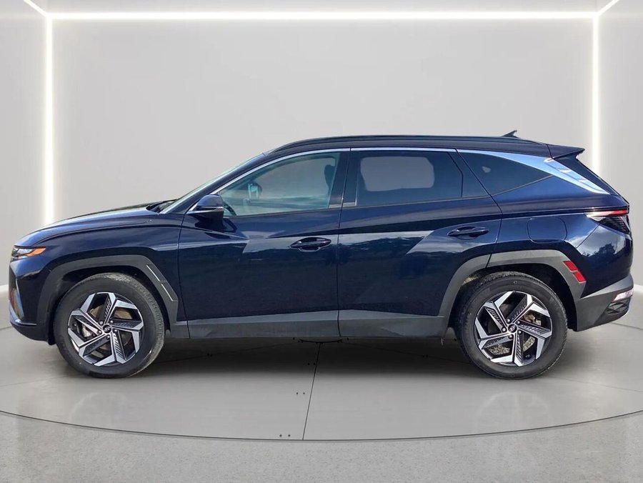 Hyundai Tucson hybride 2023 2023 Bleu
