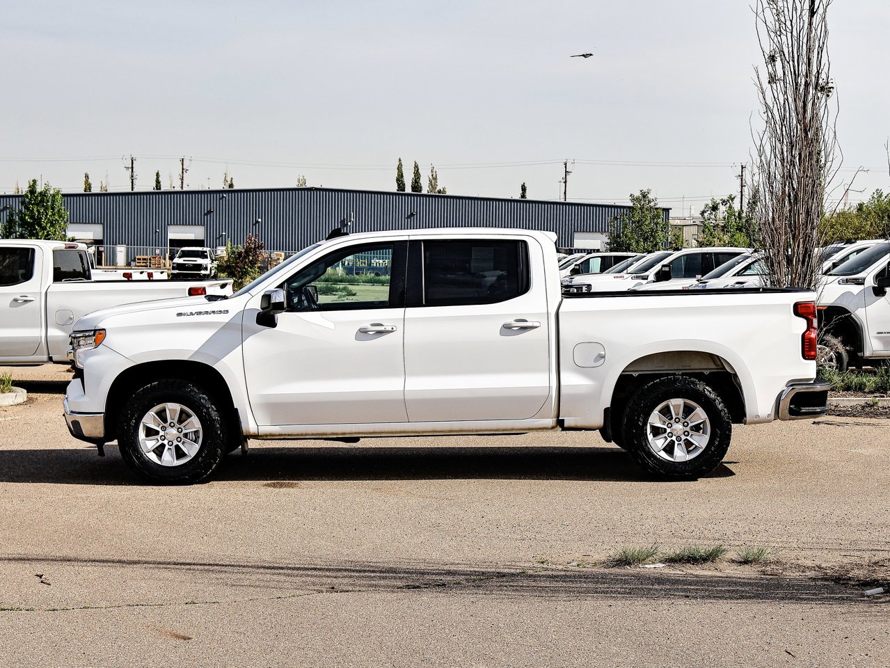 2025 Chevrolet Silverado 1500 4WD Crew Cab 147 LT White Sherwood Park - photo #9