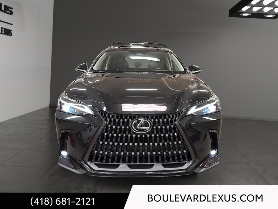 Lexus NX 2024 2024 Noir