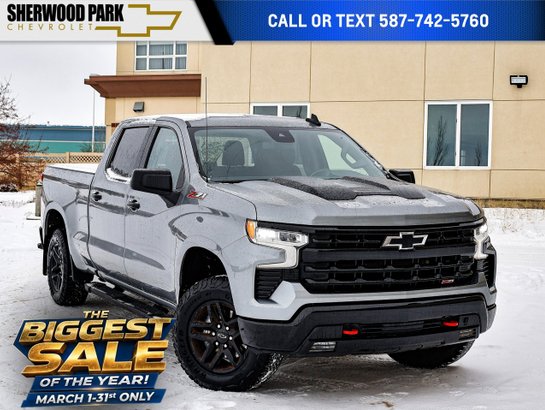 2023 Chevrolet Silverado 1500 2023 Grey