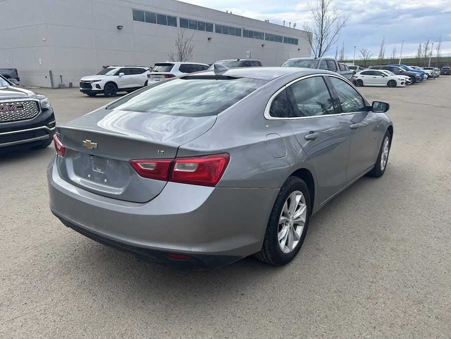 2023 Chevrolet Malibu 2023 Grey