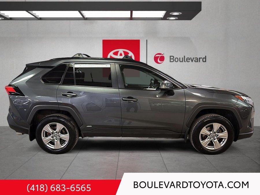Toyota RAV4 2023 2023 Gris