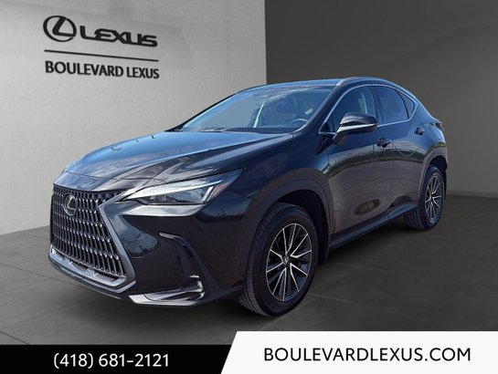 Lexus NX 2024 2024 Noir