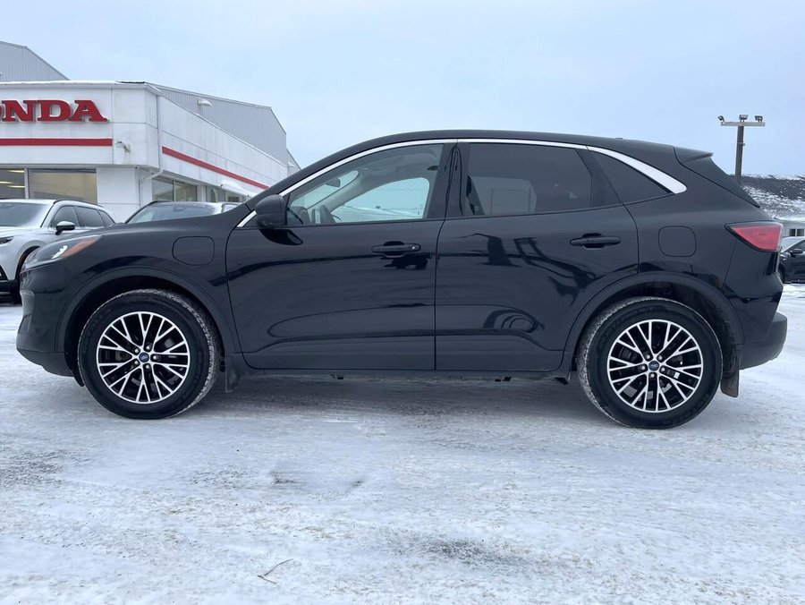 Ford ESCAPE 2022 2022 Noir