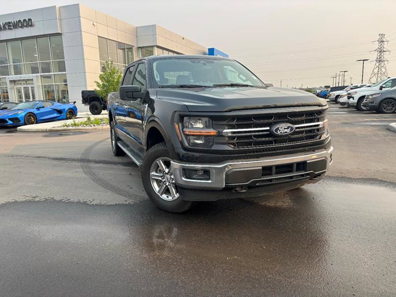 2025 Ford F-150 XLT 4WD SuperCrew 5.5' Box Black Sherwood Park - photo #1