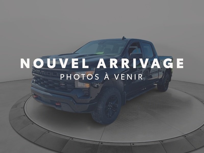 Chevrolet Silverado 1500 2024 2024 Noir