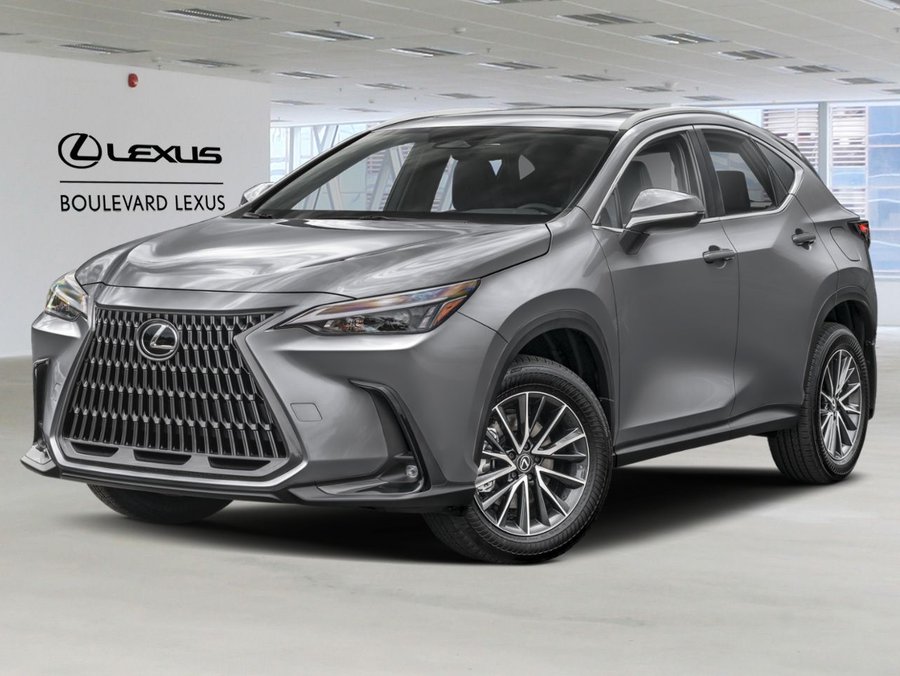Lexus NX 2022 2022 Argent