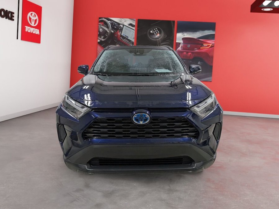 2024 Toyota RAV4 2024 Blue