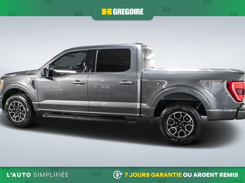 2022 Ford F150 2022 Grey