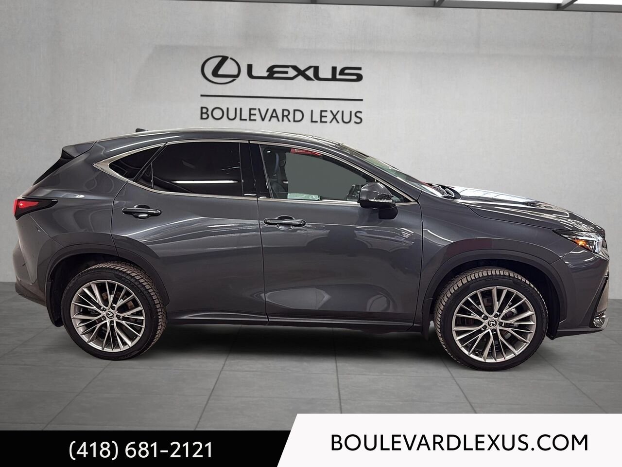2024 Lexus NX Grey Quebec - photo #2