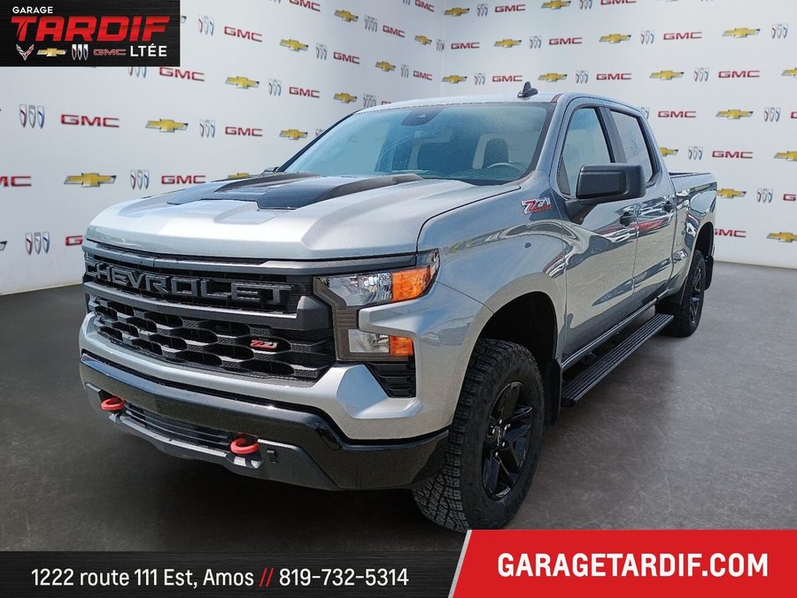 CHEVROLET Silverado 1500 2024 2024 Gris