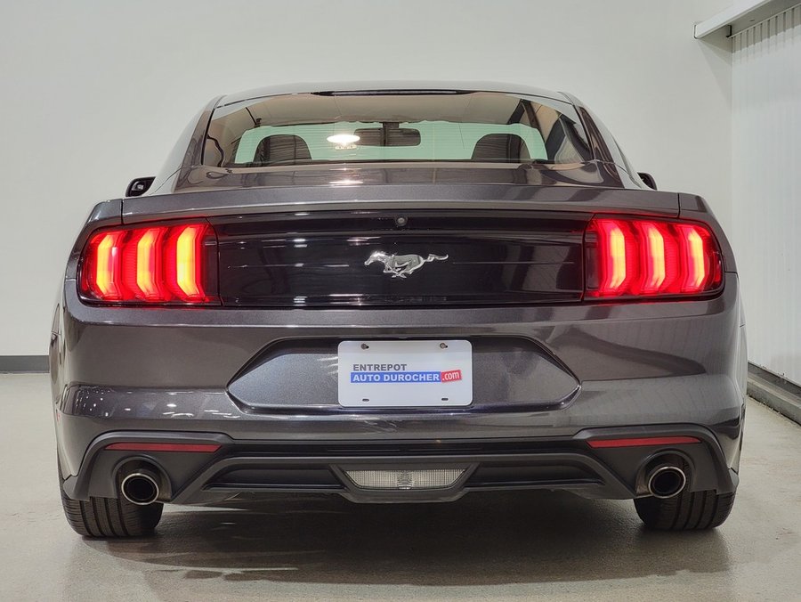 Ford Mustang EcoBoost Premium Fastback 2018 Gris