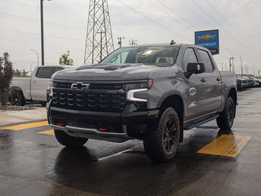 2025 Chevrolet Silverado 1500 2025 Grey
