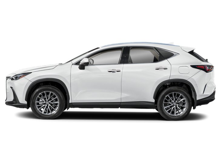 2025 Lexus NX NX 350