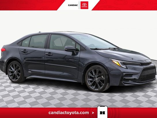 Toyota Corolla 2023 2023 Gris