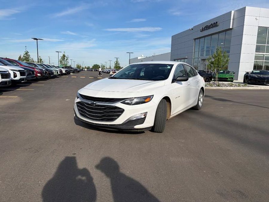 2023 Chevrolet Malibu 2023 White