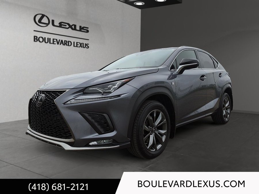 Lexus NX 2020 2020 Gris