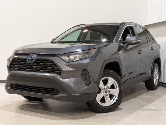 Toyota RAV4 Hybrid LE AWD 2020 Gris