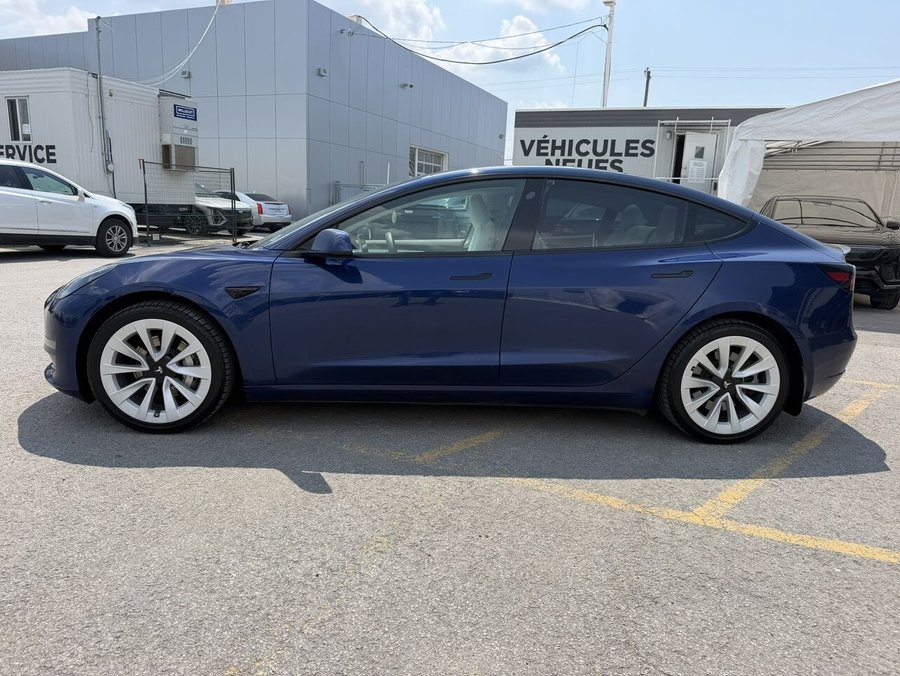 2023 Tesla Model 3 2023 Blue