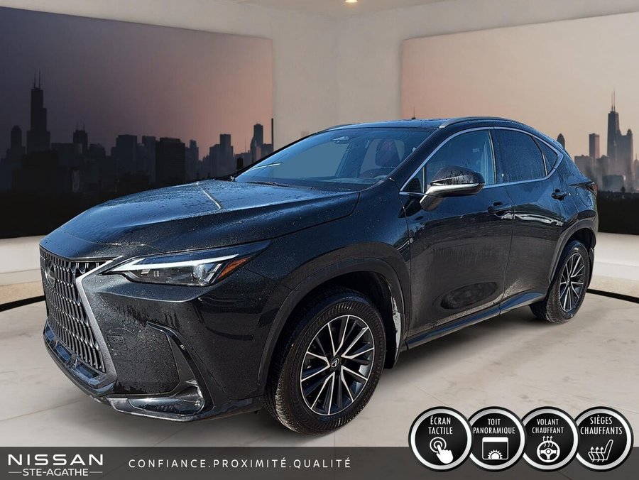 Lexus NX 2025 2025 Vert