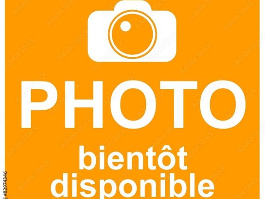 Kia Carnival 2024 2024 Blanc