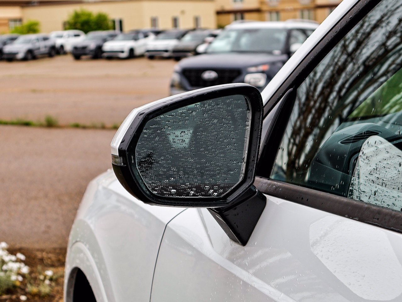 2025 Audi Q3 40 TFSI quattro White Sherwood Park - photo #6