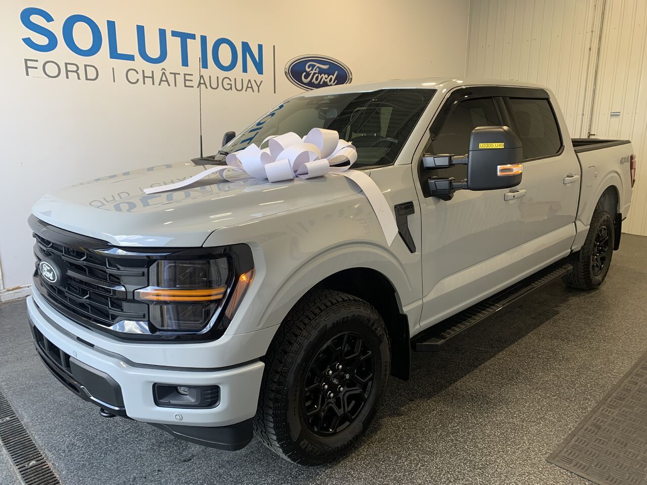 Gray 2024 Ford F-150 Pickup Truck Four-Wheel Drive Automatic