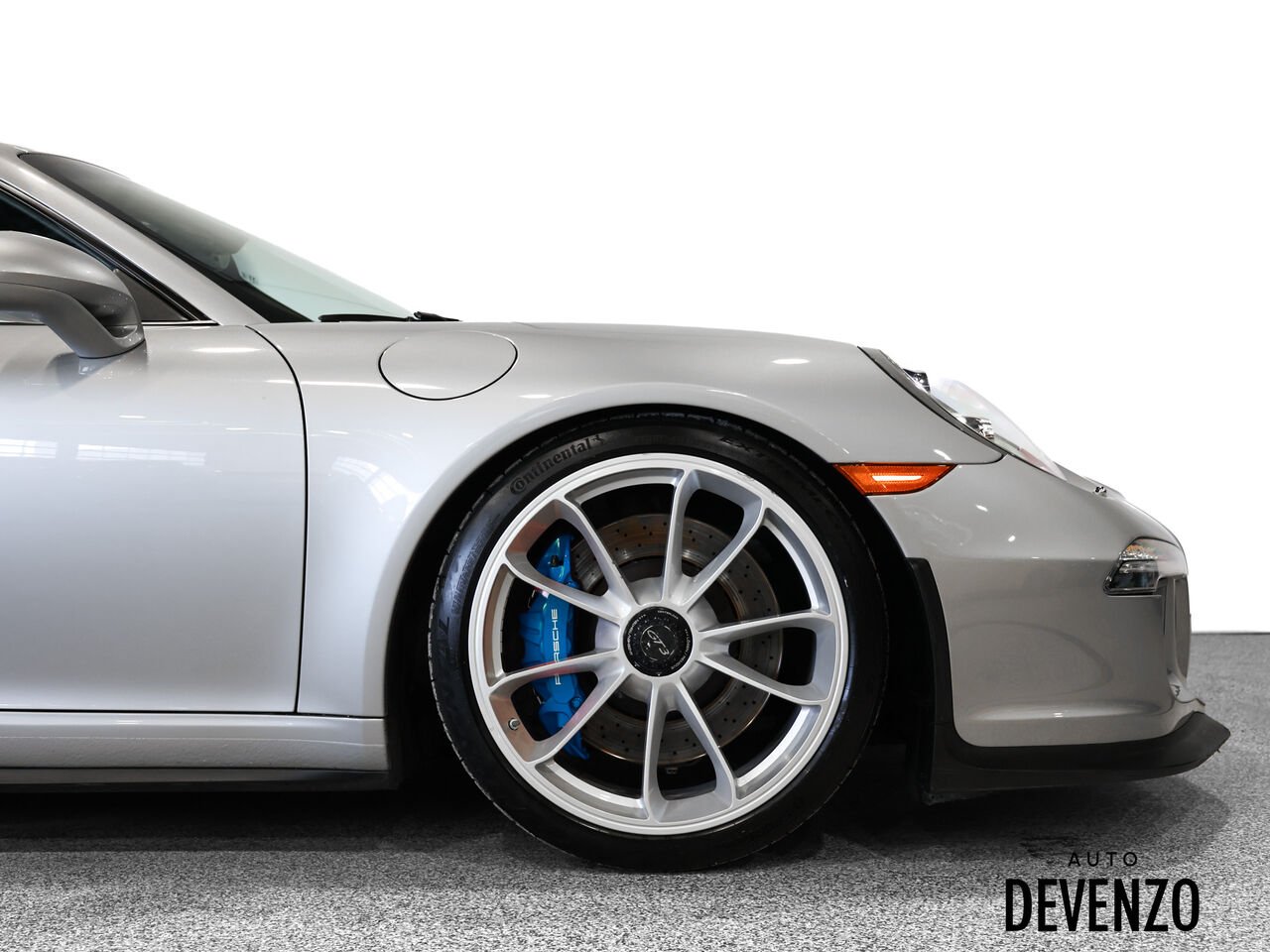 2015 Porsche 911 Grey Saint-Eustache - photo #6