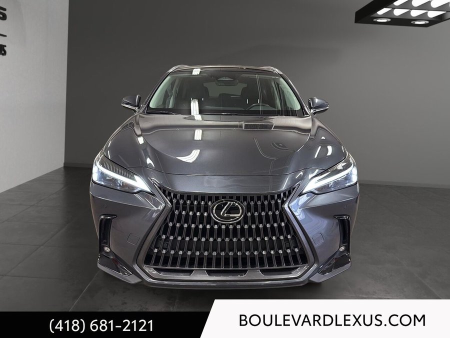 Lexus NX 2024 2024 Gris