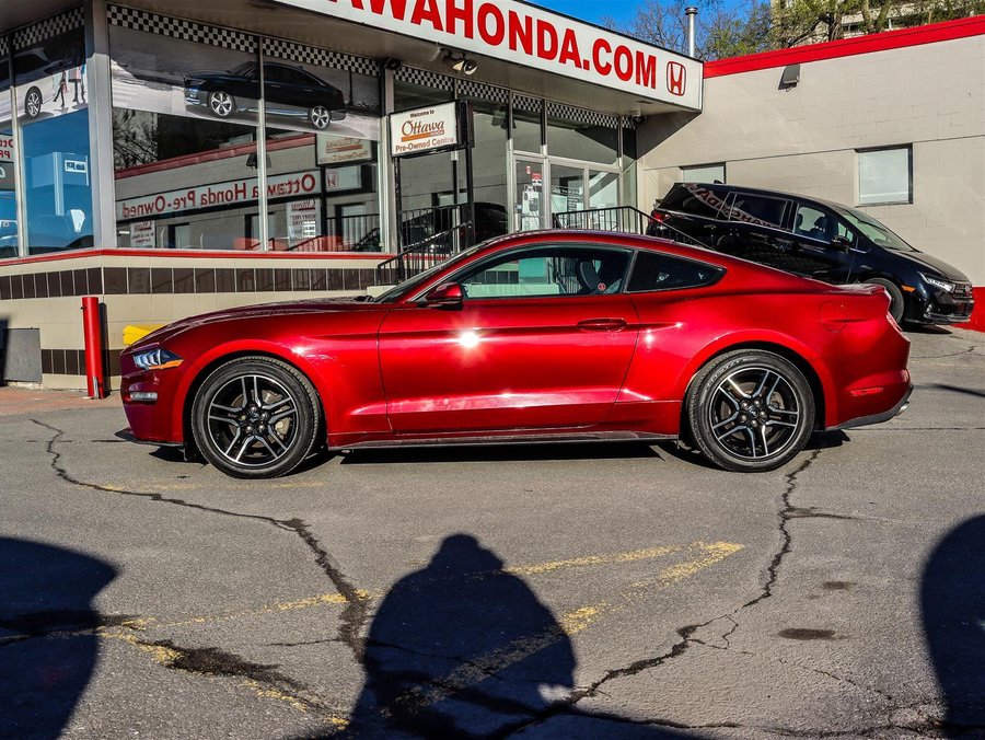 2019 Ford Mustang 2019