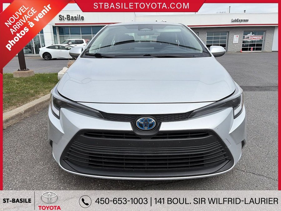 Toyota Corolla Hybride 2023 2023 Gris