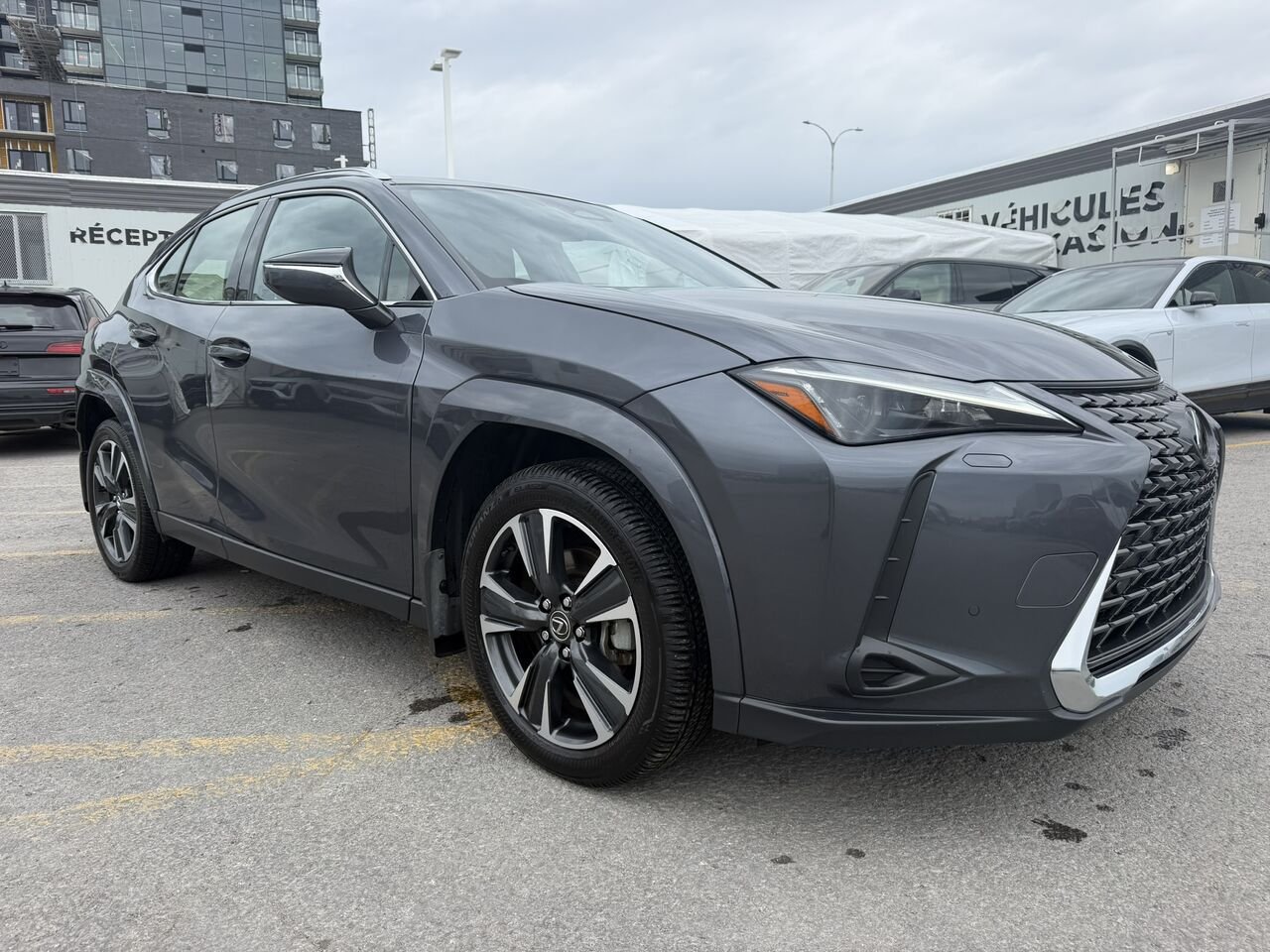 2025 Lexus UX UX 300h CAWD Beige Laval - photo #8